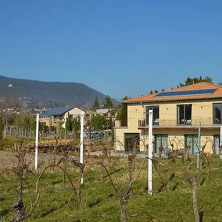 Vinotel Dollt-kern ゲストハウス